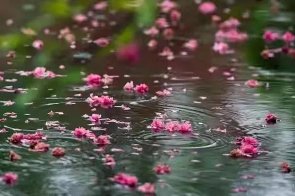 李煜的《浪淘沙令·帘外雨潺潺》解析（李煜浪淘沙令帘外雨潺潺赏析）