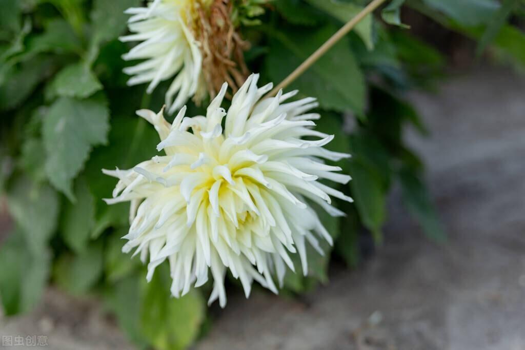 清明节致天堂里的父亲（清明节对父亲天堂里父亲的思念）