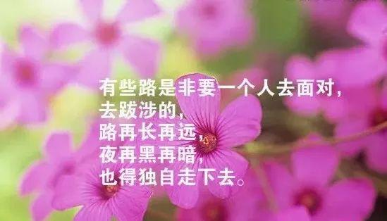 三月发朋友圈的句子配图（3月发朋友圈的句子图片）