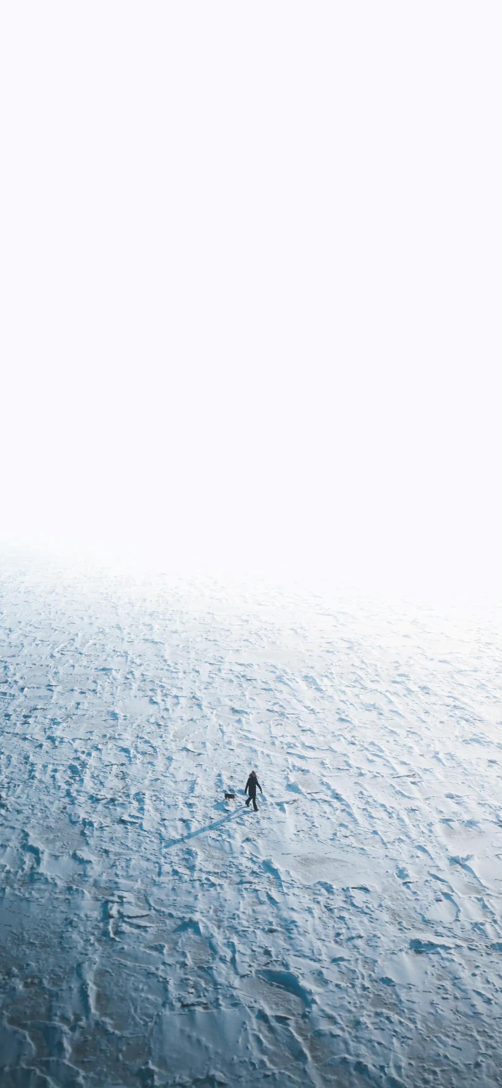 最美咏雪古诗词（十首关于咏雪的诗）