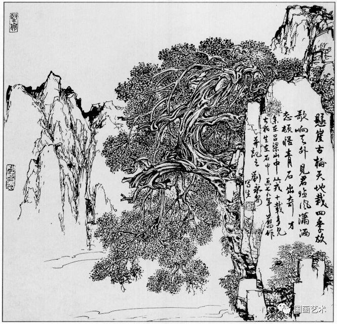 线描松树图片大全大图（松树的线描画图片）