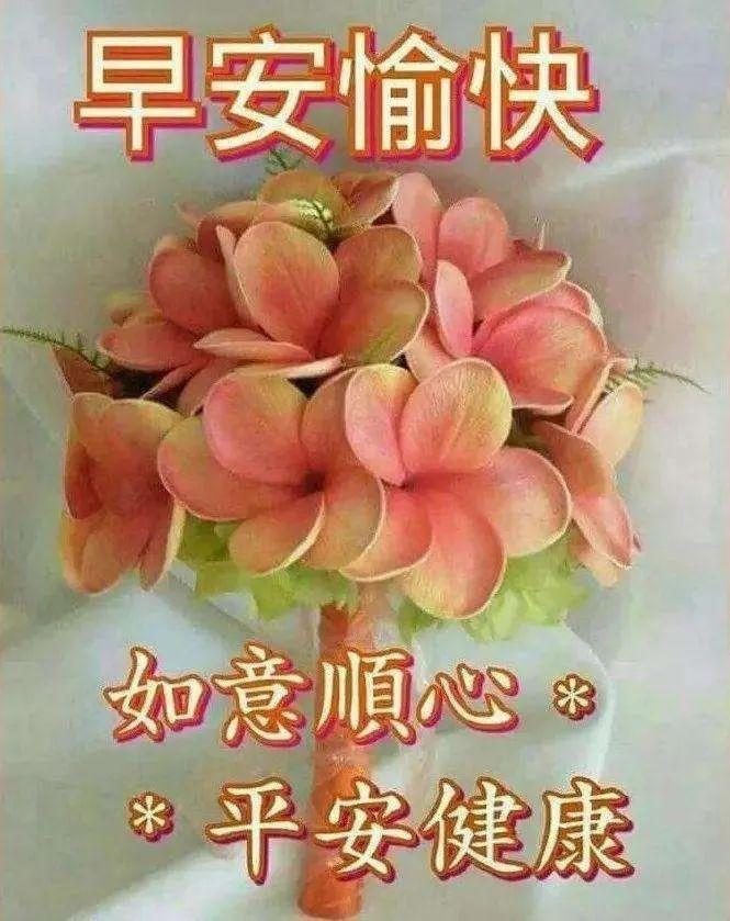 第一个愿望送给你,愿你永远幸福又温馨,早安语录（把最美的祝福送给你早安）