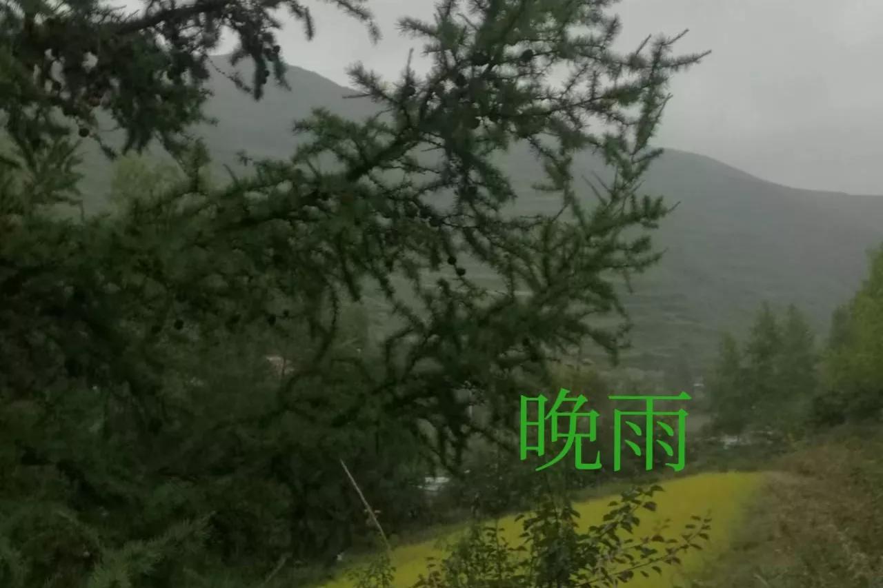 中秋诗词：对《原创：古今韵七绝二首：晚雨‖晨雨》的引证解释