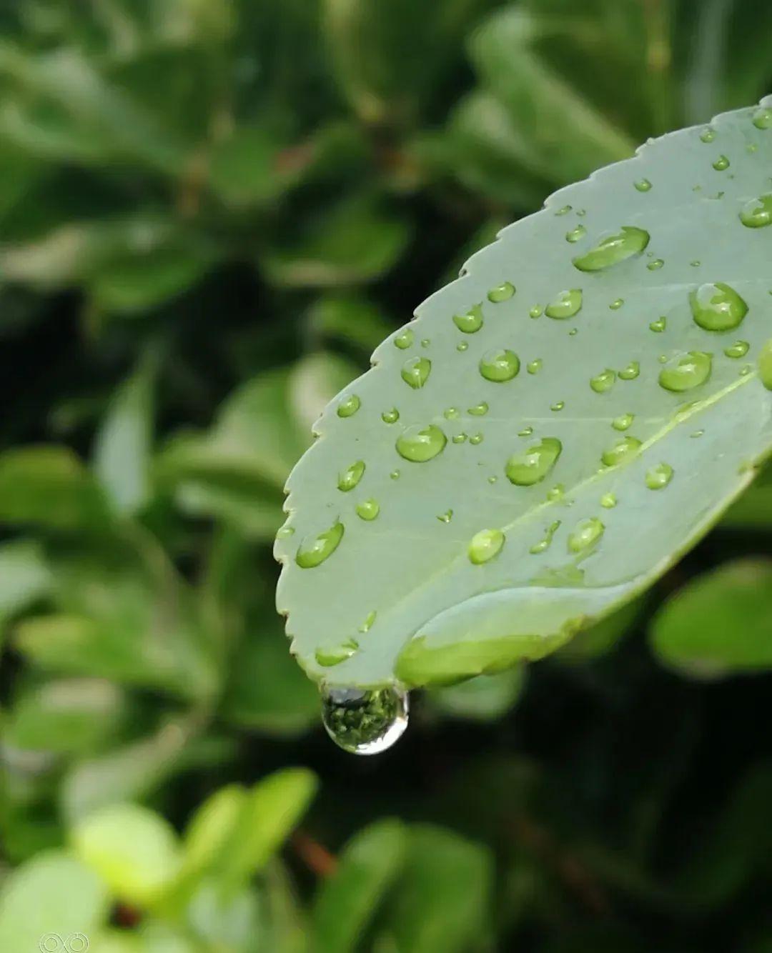 「新诗采撷」细雨中（微诗25首）