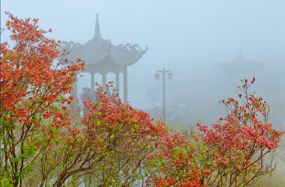 关于春雨的十首古诗（描写春雨的诗词）