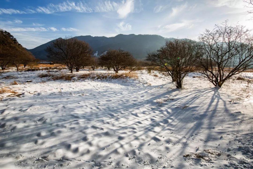 下雪很美的诗句（描写下雪的优美诗词）