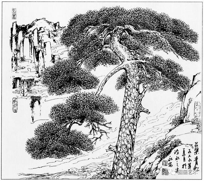 线描松树图片大全大图（松树的线描画图片）