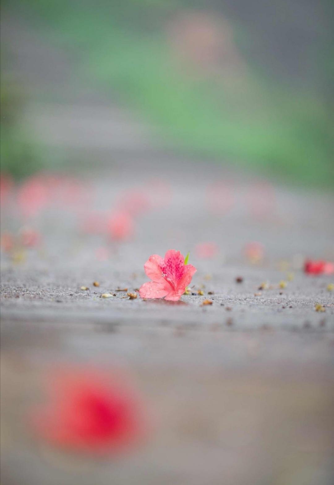 关于春雨的十首古诗（描写春雨的诗词）