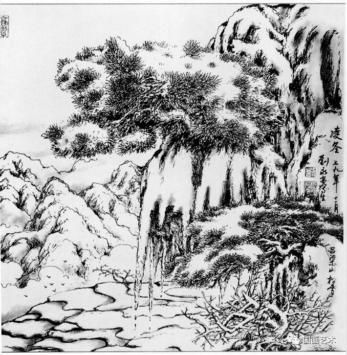 线描松树图片大全大图（松树的线描画图片）