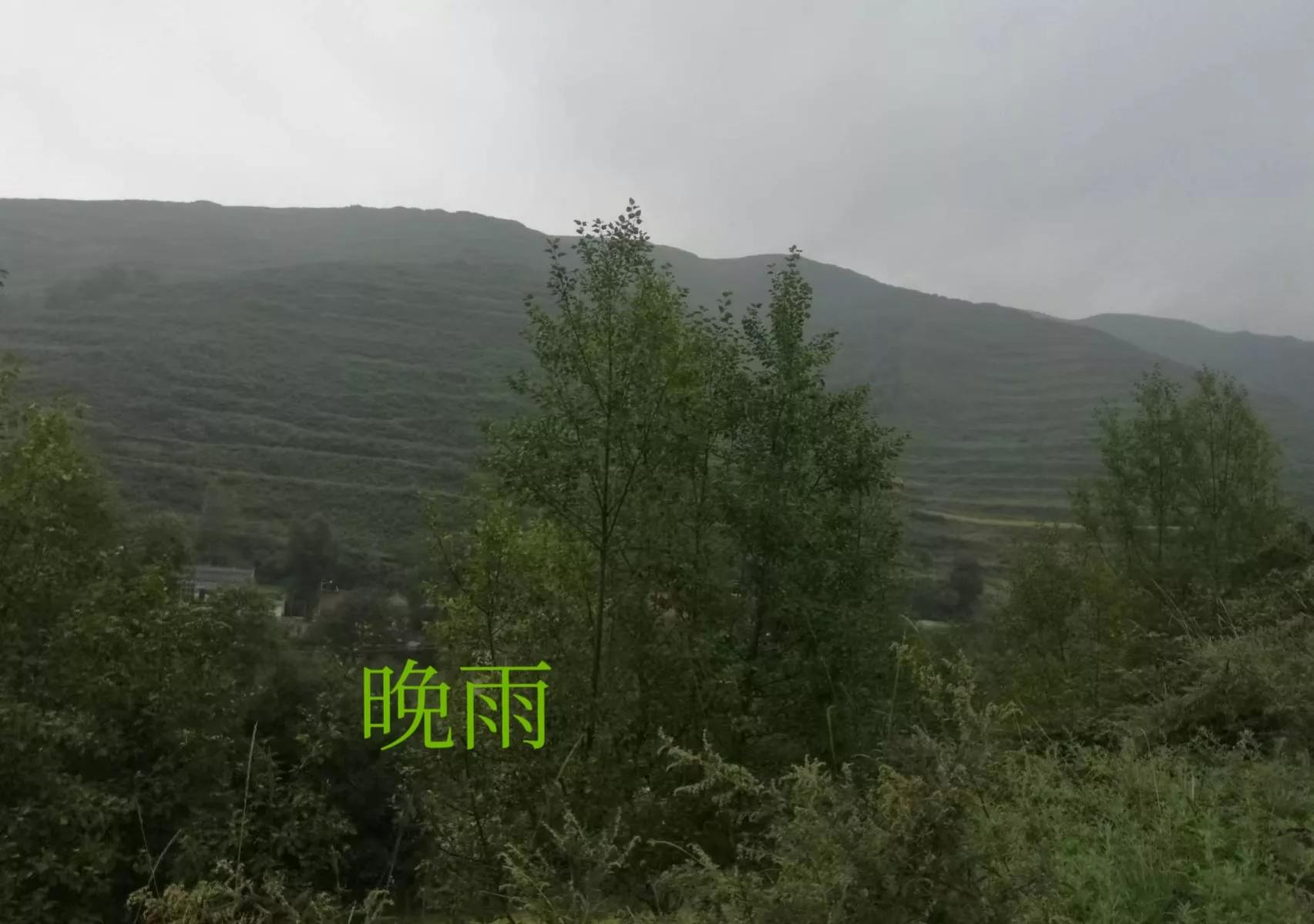 中秋诗词：对《原创：古今韵七绝二首：晚雨‖晨雨》的引证解释