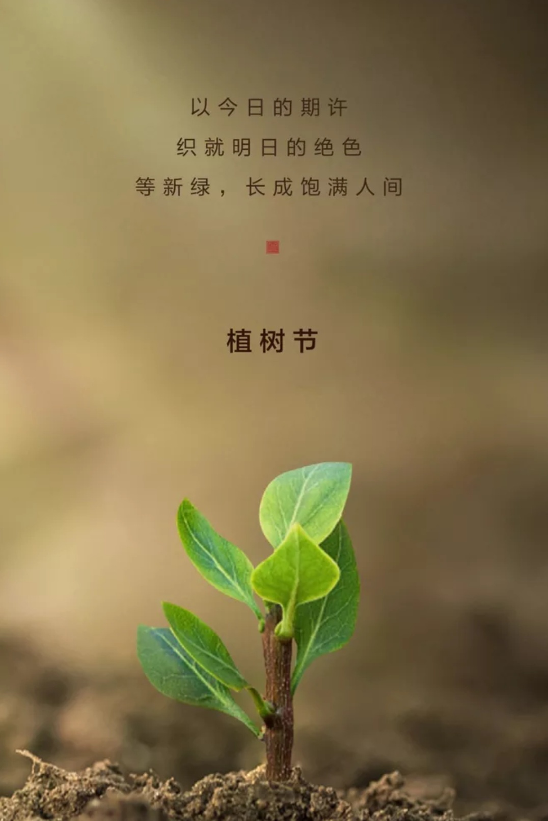 关于植树种树的古诗（与植树节相关的古诗）