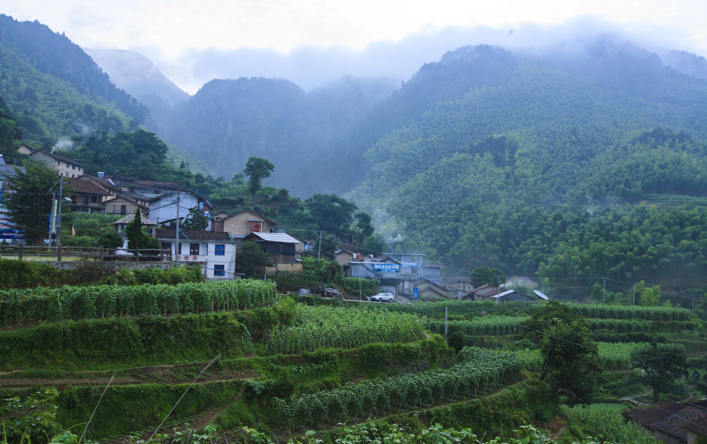 诗词：水秀山青小雅庄，绿荫成网地成方。青山高耸入云际