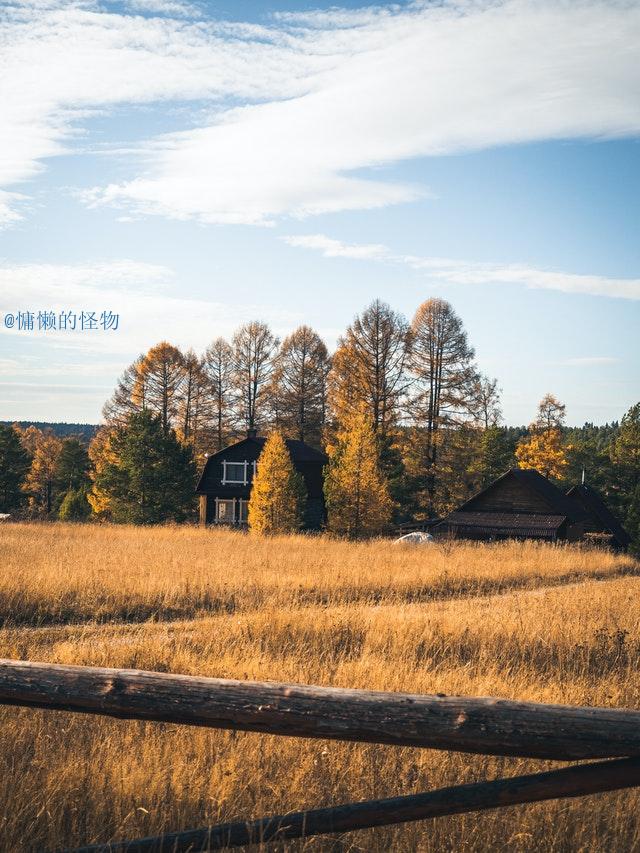 中考英语语法复习（中考英语重点句子归纳）