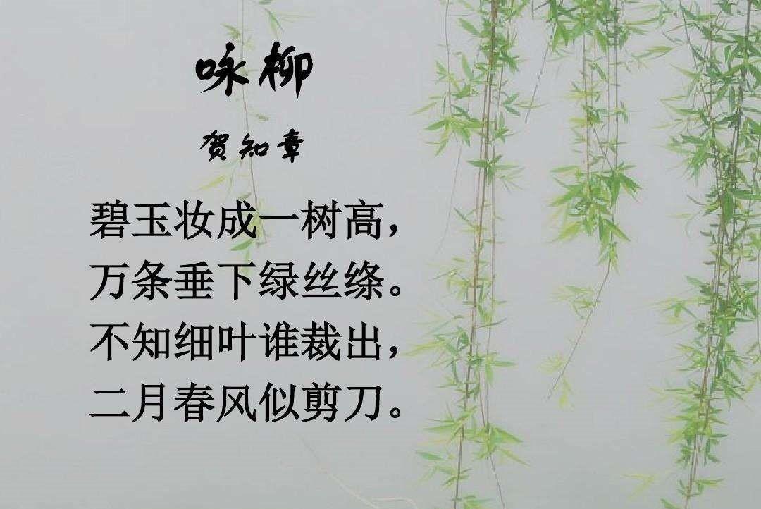 咏柳这首古诗的诗意（咏柳古诗写出了什么）