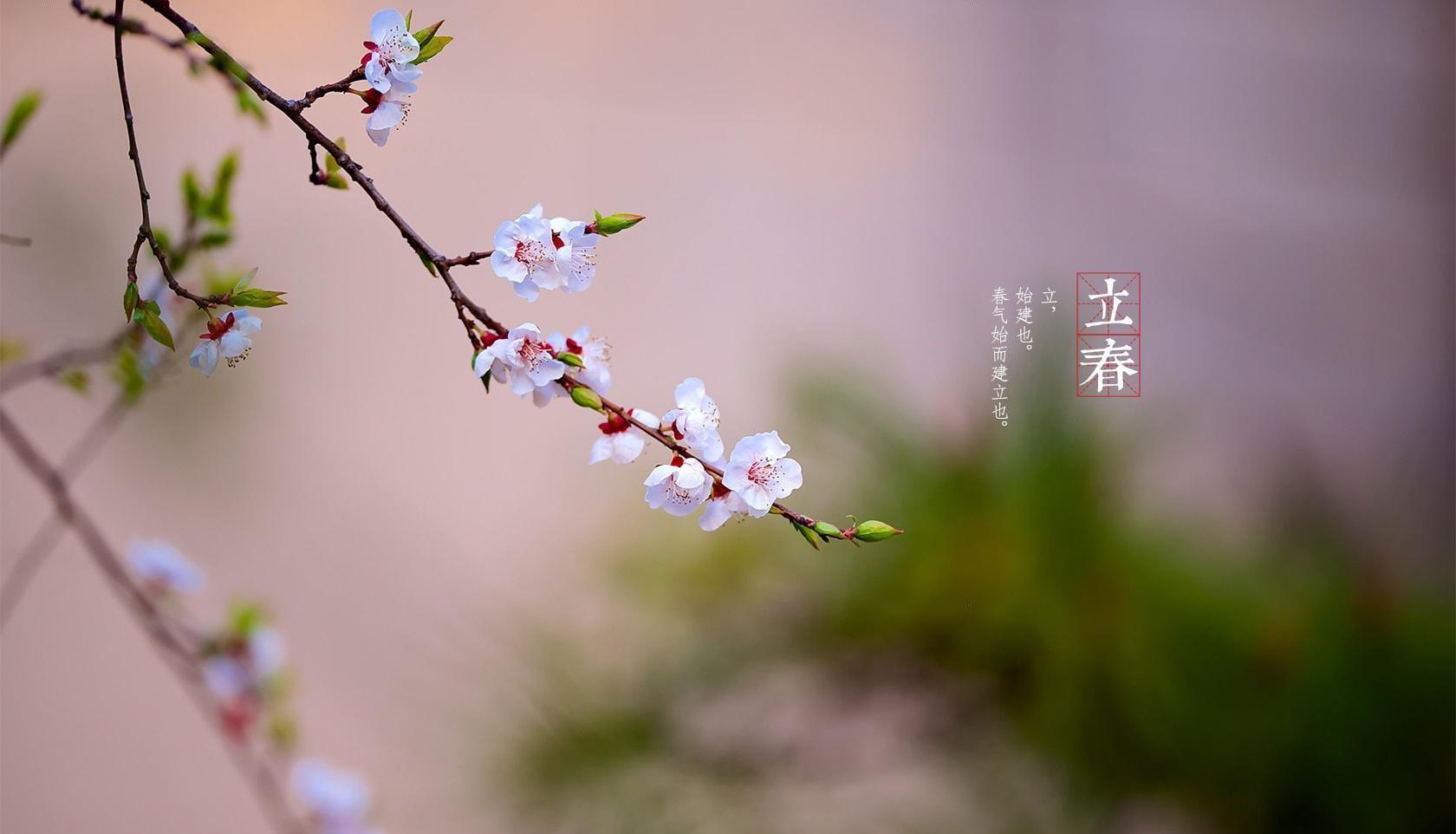 朱熹的春日解析（朱熹春日赏析）