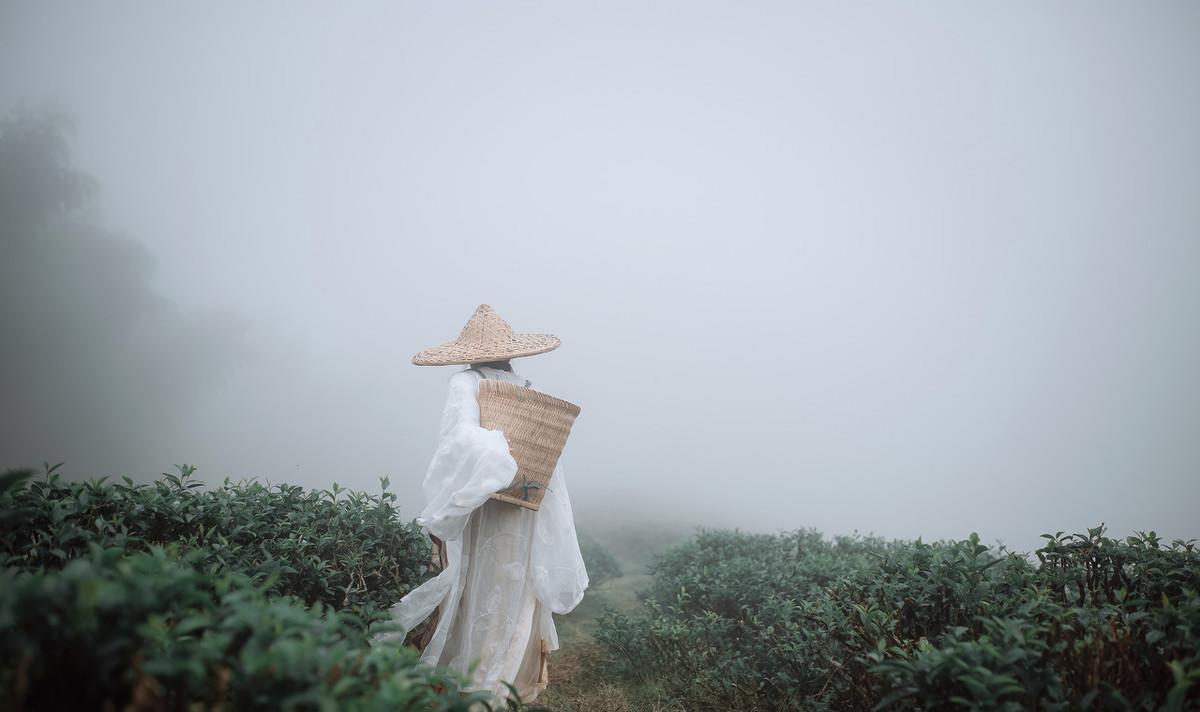 古风虐心凄美句子短句（催泪虐心的古风句子）