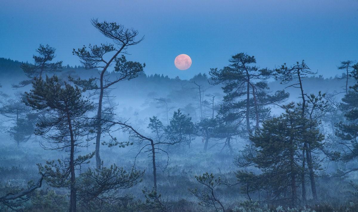 古诗中的日月星辰（有关天地人 日月星的古诗）