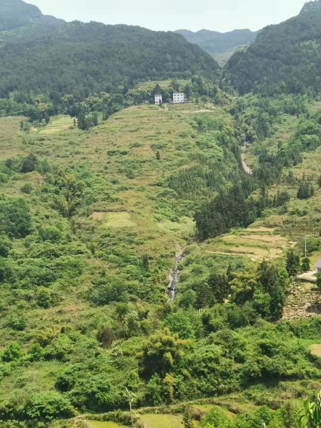 “边城”石子，山河间石粒般质朴坚韧