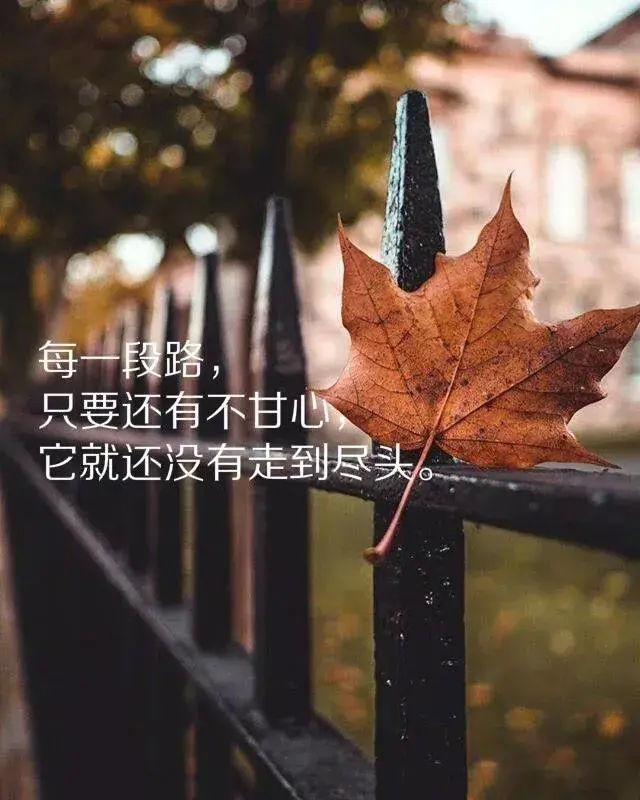 下雨天适合发朋友圈的经典句子大全（下雨天的心情唯美句子）