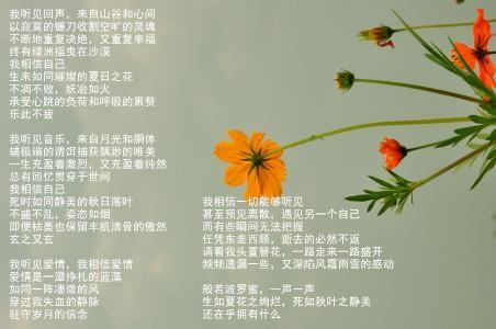 10首励志的现代诗歌（优美的现代励志诗）