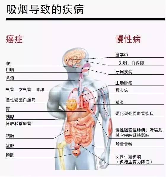 柳叶刀：中国烟民数量世界第一