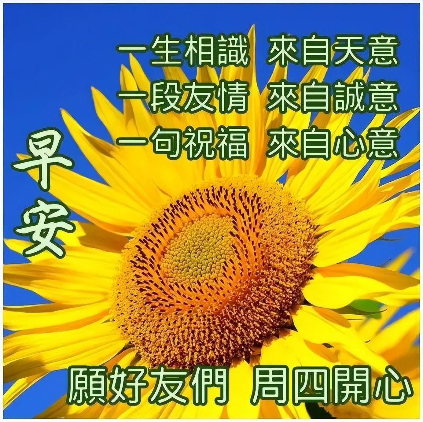 送上诚挚的祝愿,轻松生活,幸福相伴,朋友,早安祝福语（送上真诚的祝福,幸福,快乐）