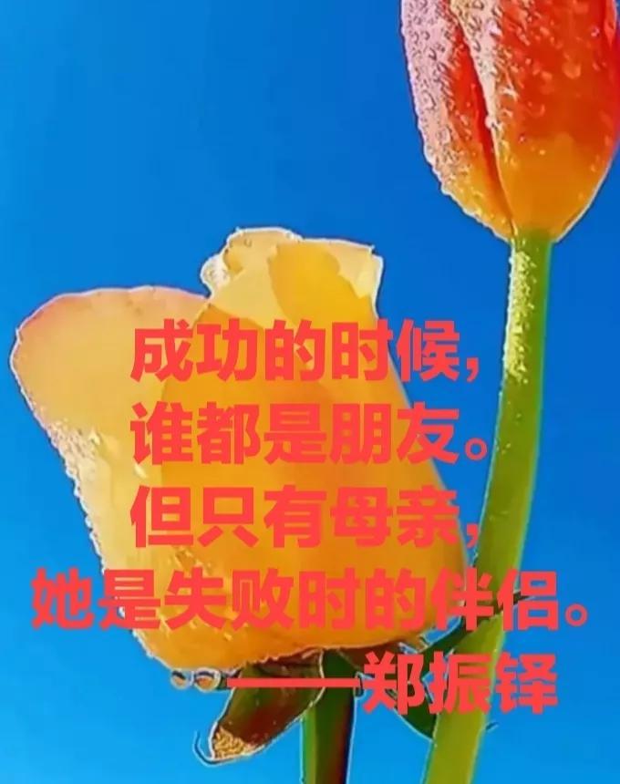 赞颂母亲的好句好段（赞美母亲经典语录）