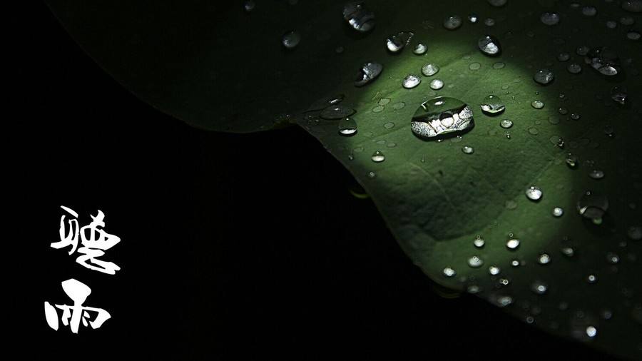 听雨唯美散文（散文《听雨》）