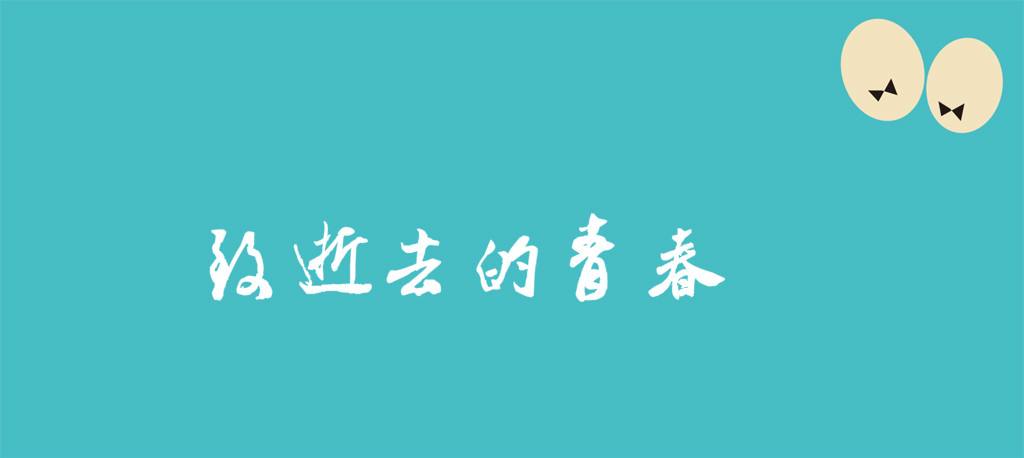 致我们那些逝去的青春岁月（那些年致我们终将逝去的青春）