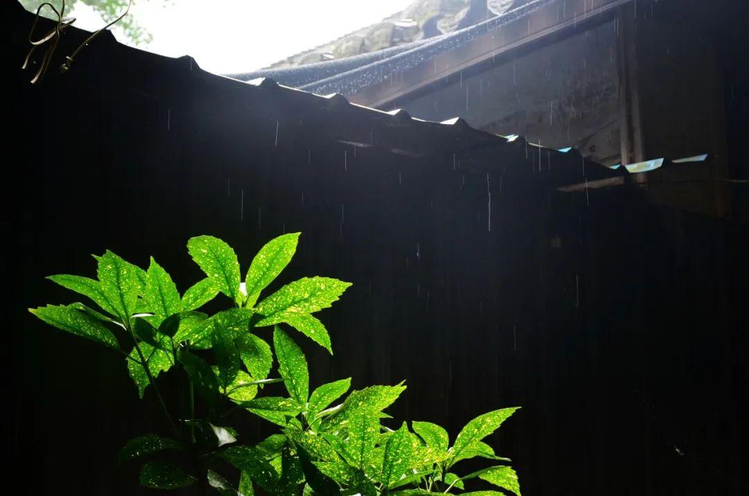 下雨天朋友圈文案诗句（下雨天发朋友圈的文案）