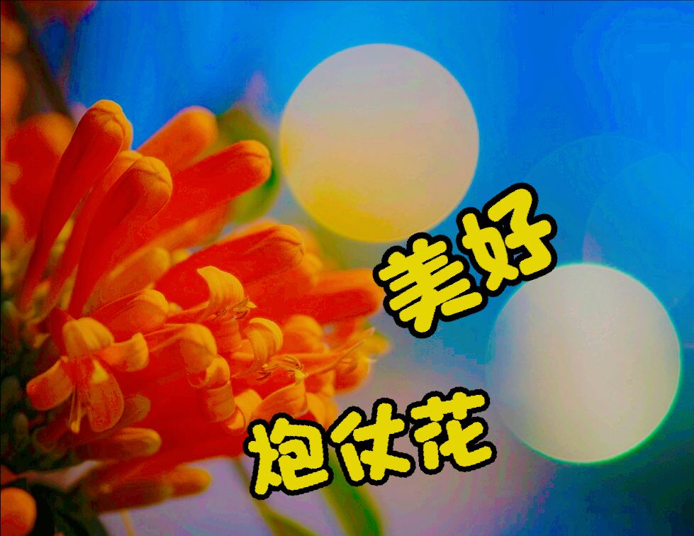 一花一美好，万紫千红百花艳，鲜花相约一生爱，情浓岁月四溢爱