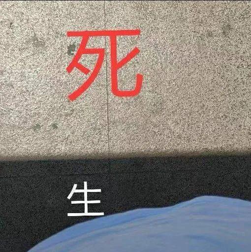 关于天气热的沙雕文案（吐槽天气很热的沙雕句子或文案图片）