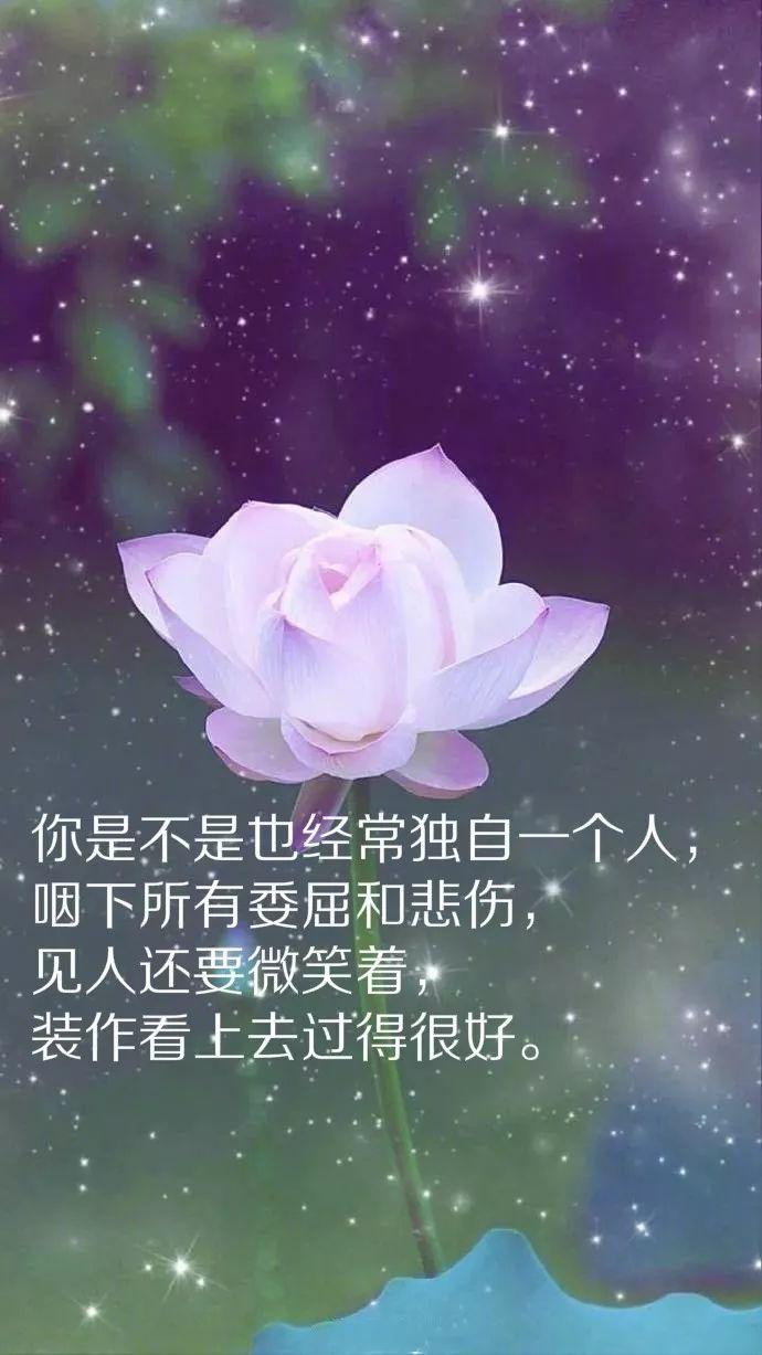 正能量句子励志句子早安心语（早安正能量励志经典语录短句）