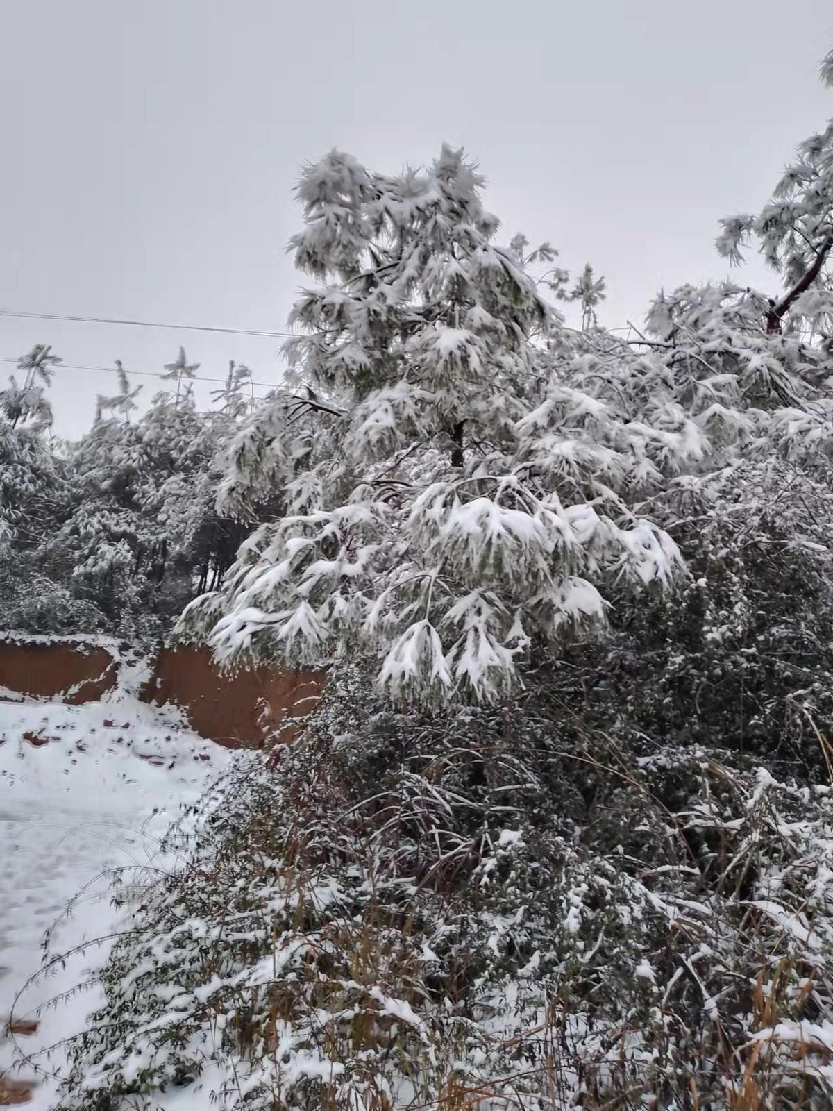 赞桂林全州白宝瑞雪