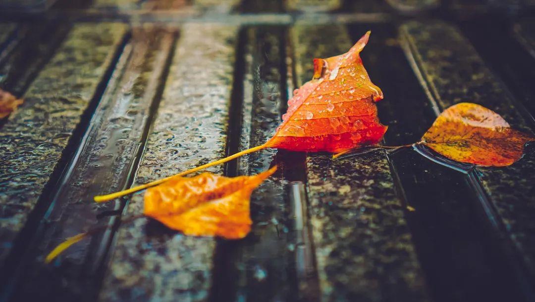 下雨天的诗词适合发朋友圈（下雨天适合发朋友圈的诗句）