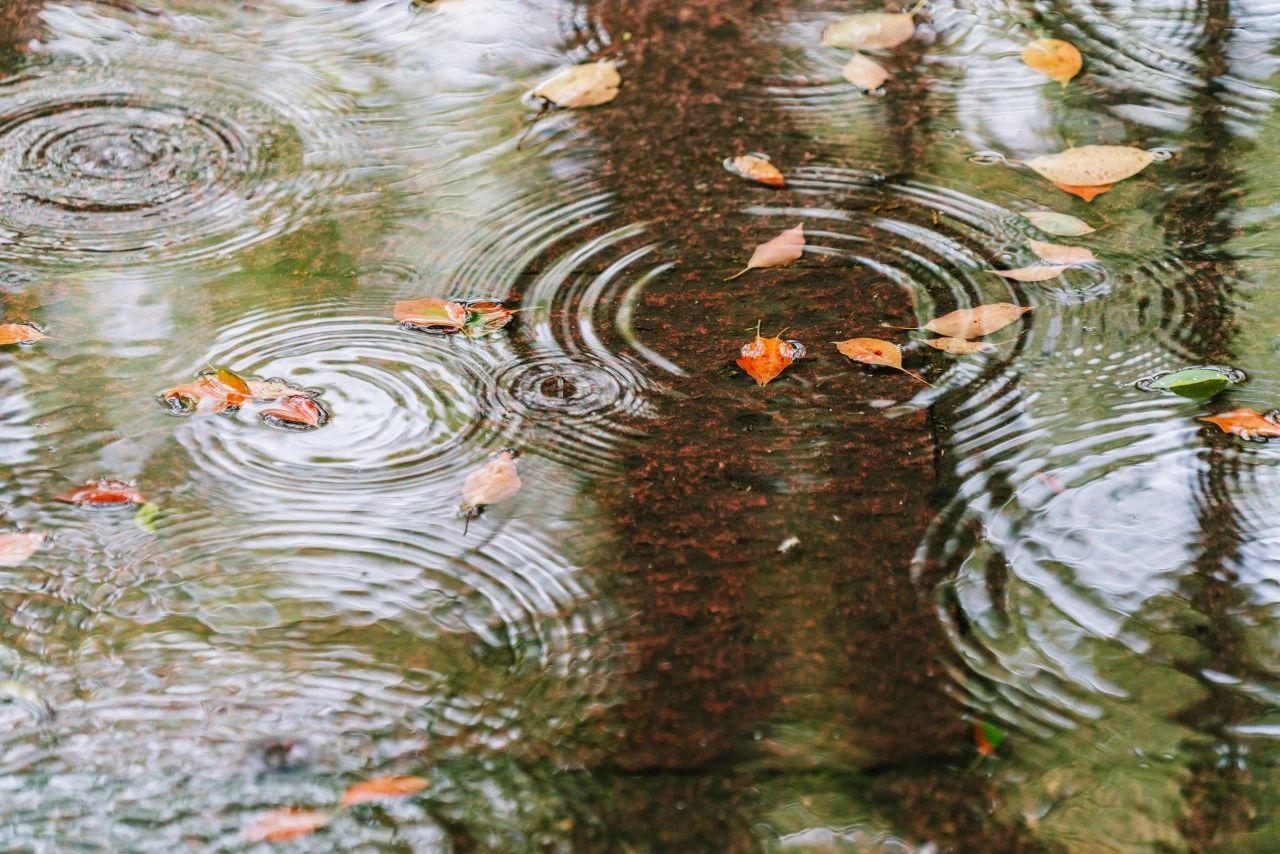 下雨天朋友圈文案诗句（下雨天发朋友圈的文案）