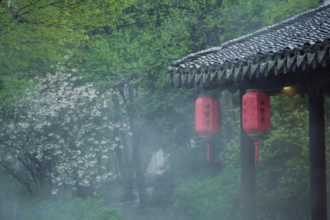 下雨天的诗词适合发朋友圈（下雨天适合发朋友圈的诗句）