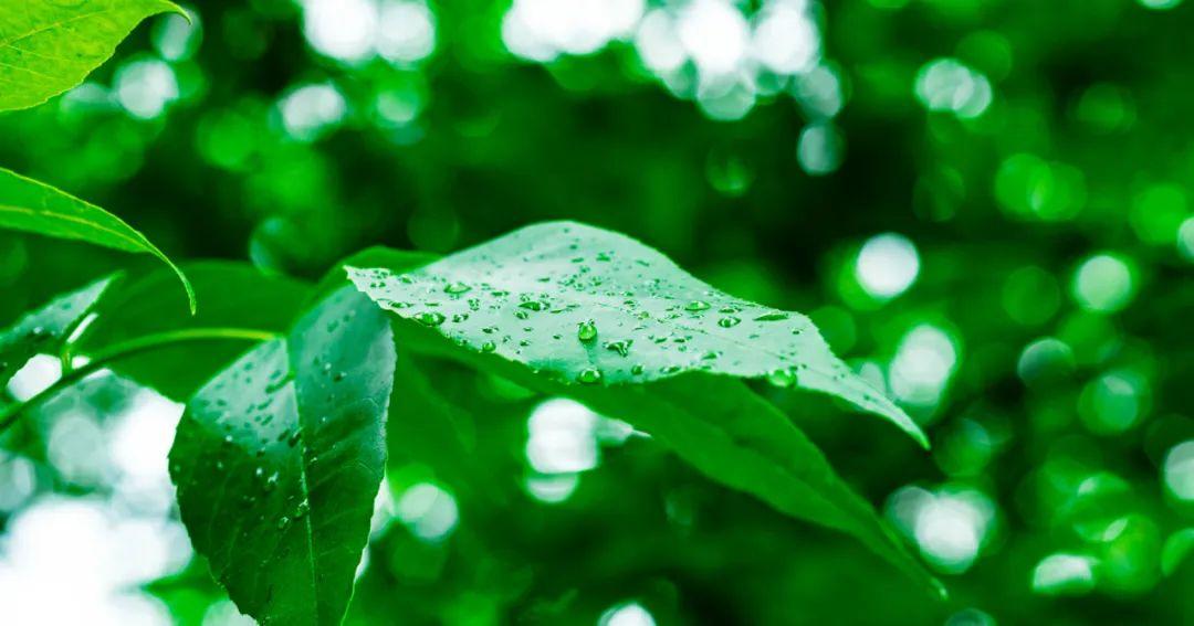 下雨天朋友圈文案诗句（下雨天发朋友圈的文案）