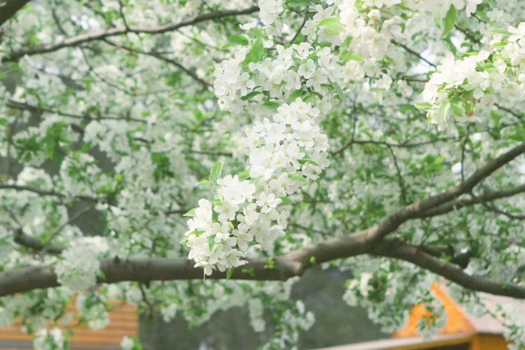 不止高温！这些图，带你留住这个夏天的美好！