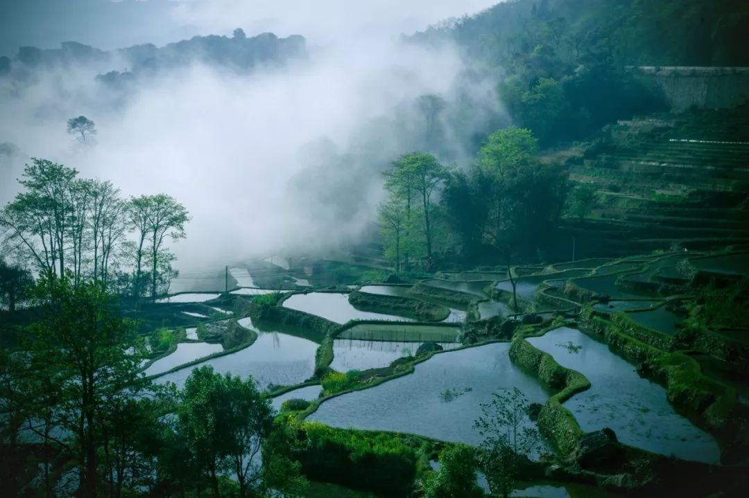 村居田园生活古诗（村居古诗）