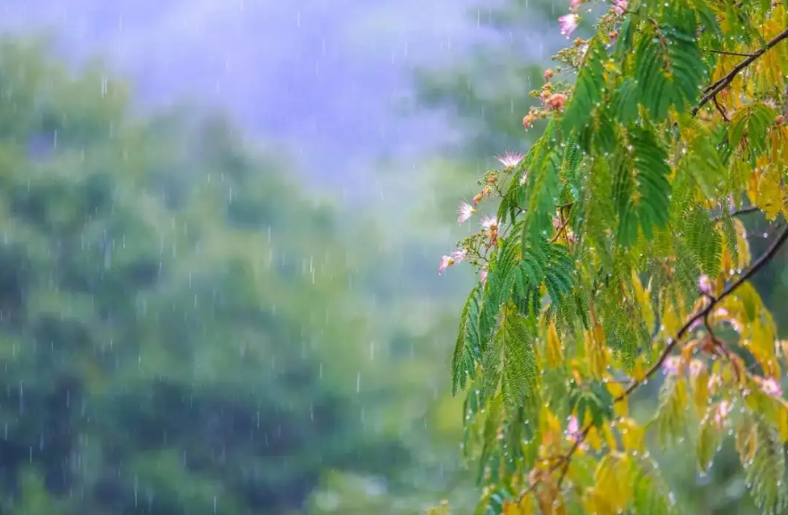 描写夏天雨后凉爽的诗句（关于描写夏天雨的诗句）