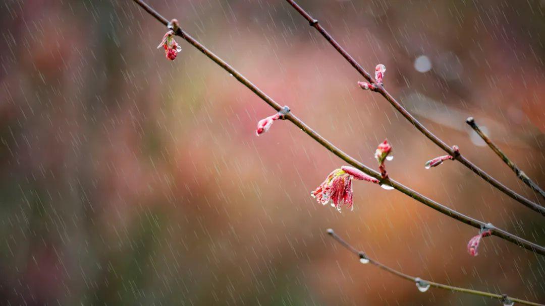 下雨天的诗词适合发朋友圈（下雨天适合发朋友圈的诗句）