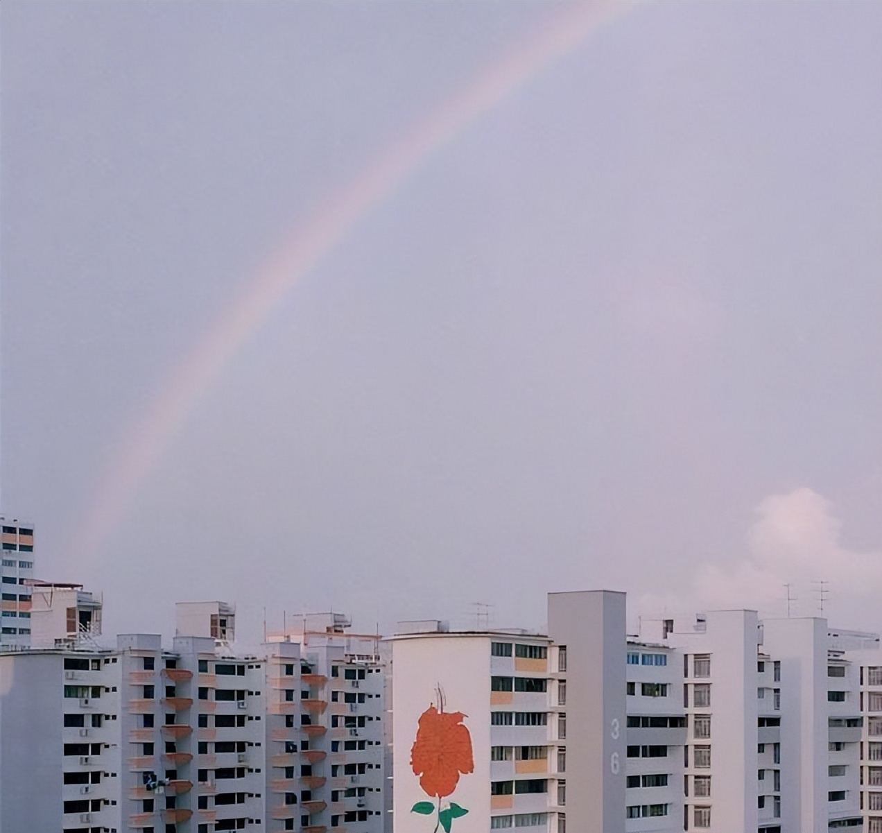 一句话励志正能量心灵鸡汤句子（正能量励志心灵鸡汤短句）