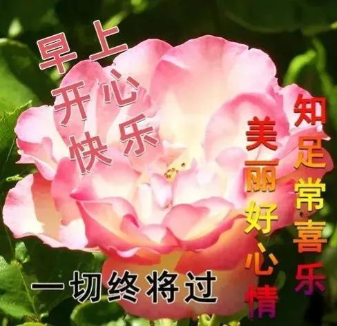 最新的早上好问候祝福语动态图（早安问候祝福语图片大全）