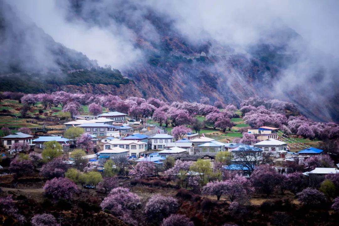 村居田园生活古诗（村居古诗）