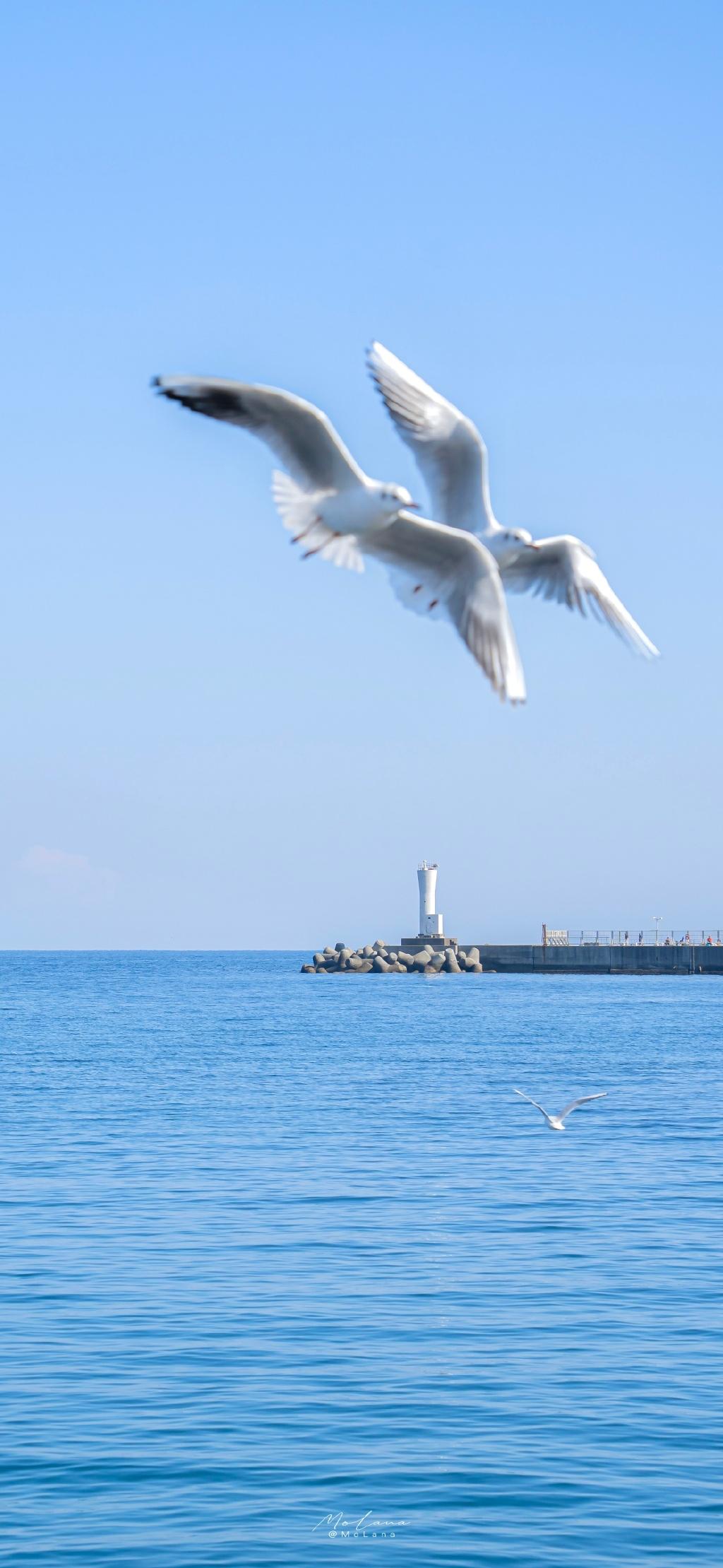 适合去海边发的文艺朋友圈文案短句（海边旅游发朋友圈的文案）