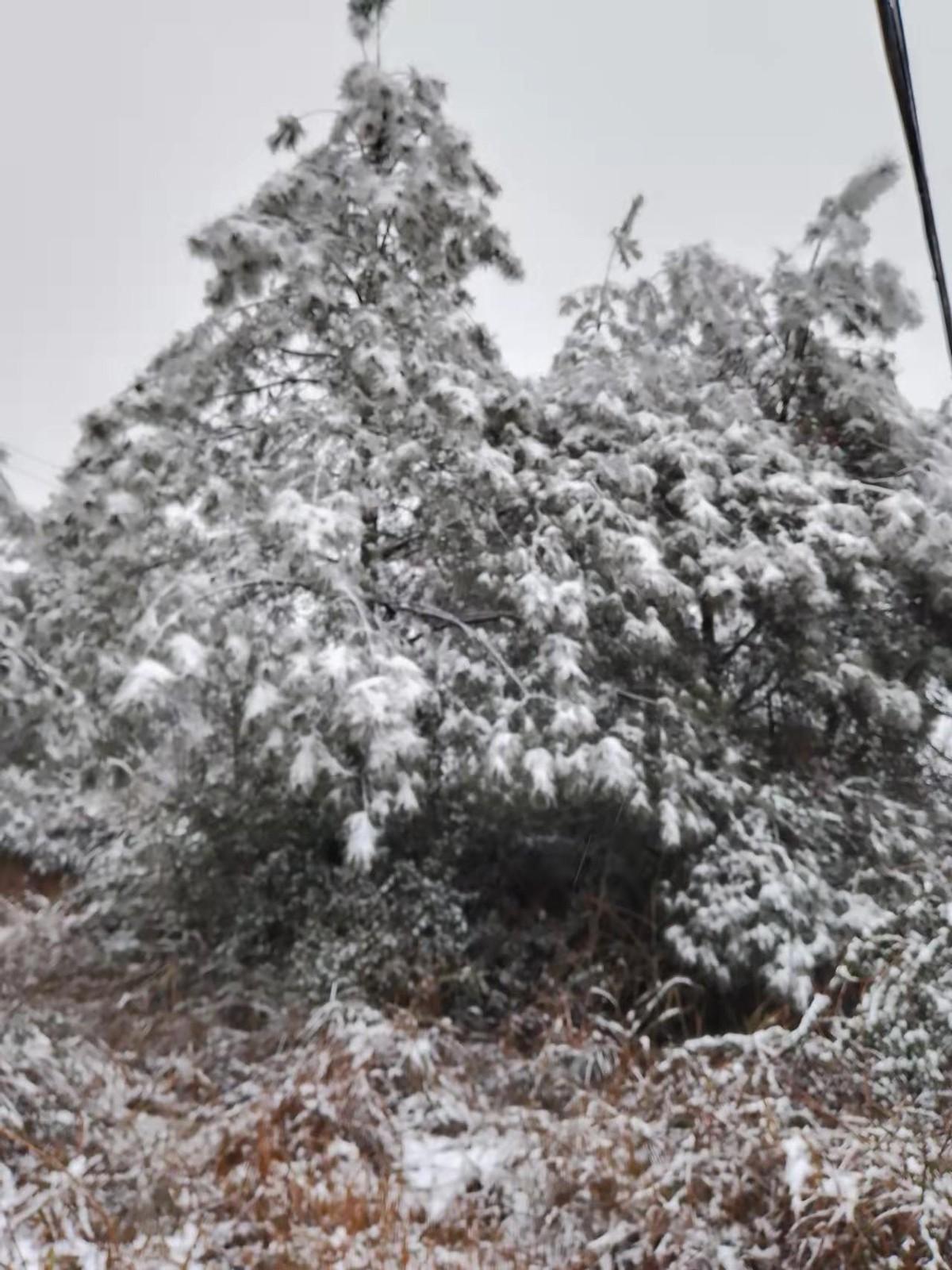 赞桂林全州白宝瑞雪