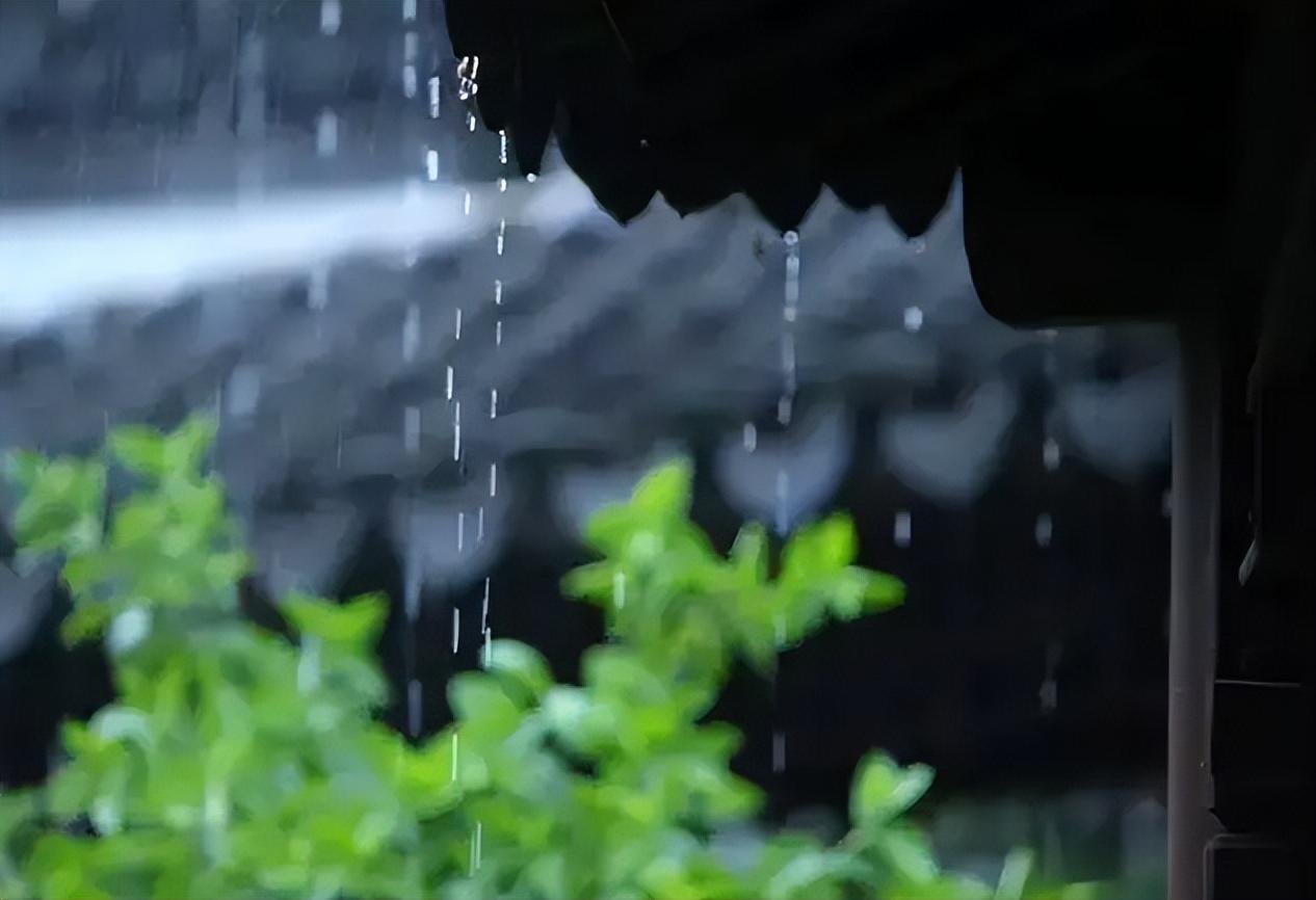 描写夏天雨后凉爽的诗句（关于描写夏天雨的诗句）