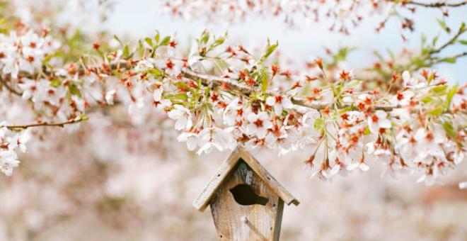 关于春、夏、秋、冬、山、水、日、月、风、花、雨、雪古诗词汇总