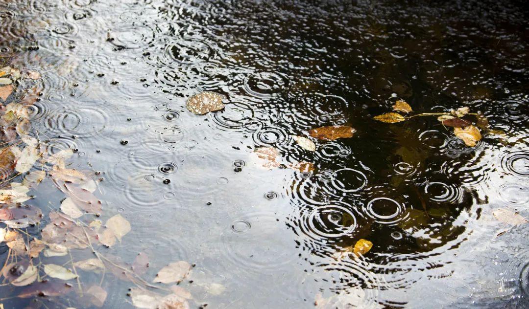 美到令人心醉的秋雨古诗（写秋雨的唯美的诗）